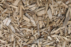 biomass boilers Chalvedon